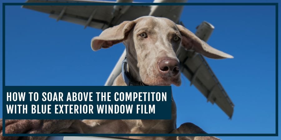How to Soar Over the Competition with Blue Exterior Window Film - CampbellWindowFilm.com