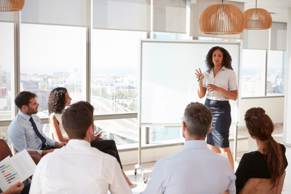 Campbell-Commercial-Meeting-Windows