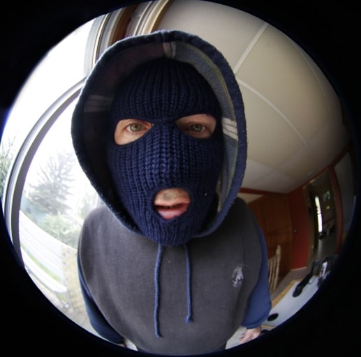 burglar