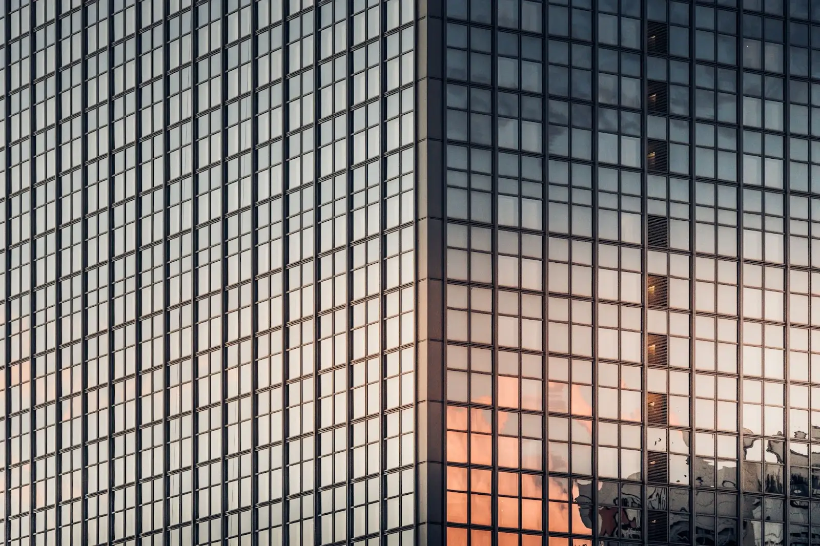 choosing window film4
